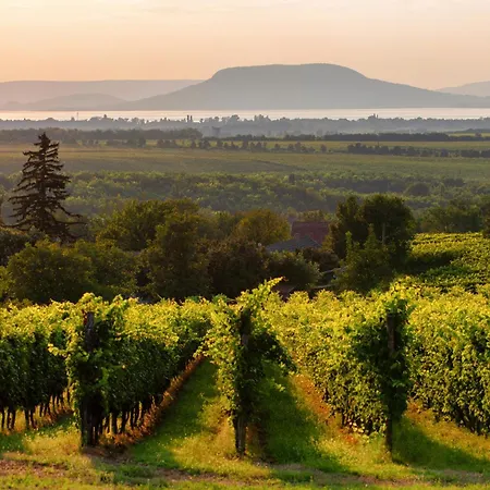 아파트 In 45325 Balatonmáriafürdő